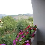 Flora 펜션