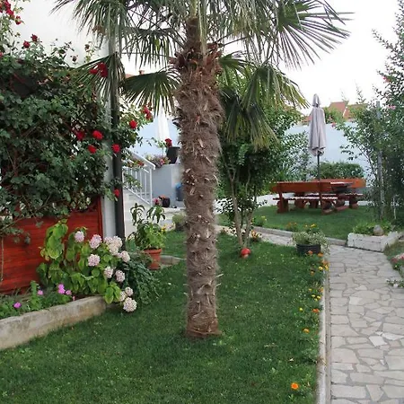 Flora *
