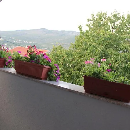 Flora *