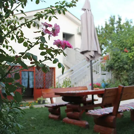 Flora מוסטר
